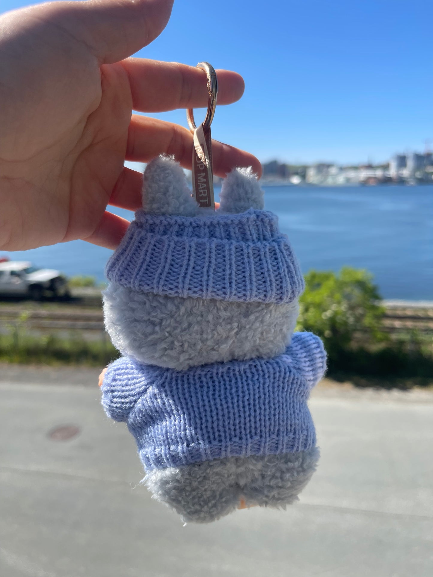 Blue Striped Knit Sweater w Hat