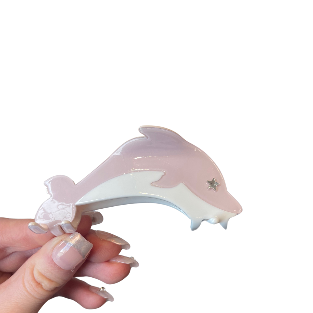 Common Dolphin