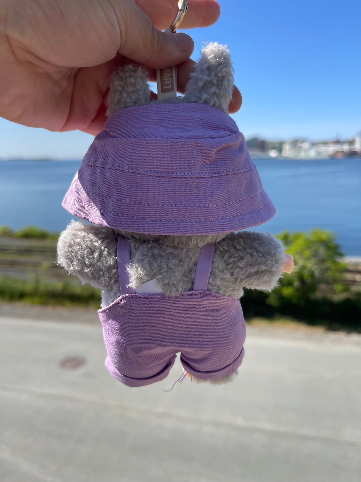 Purple Overalls & Hat