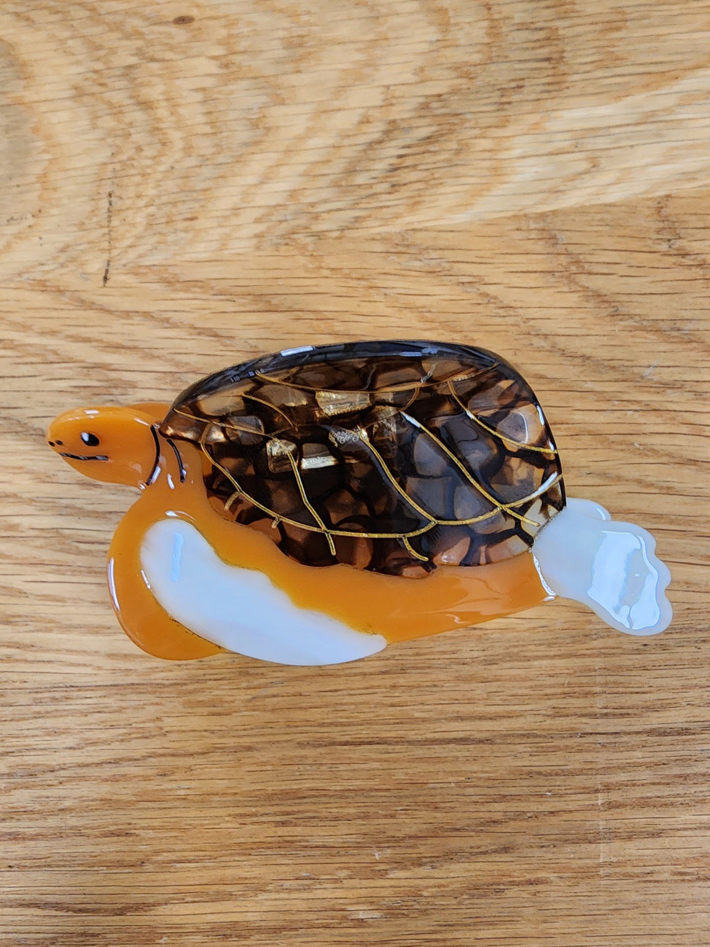 Brown multi Turtle