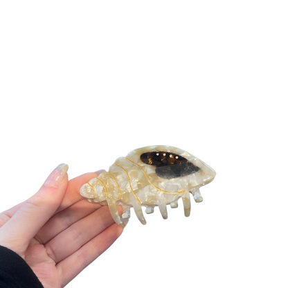 Conch Shell