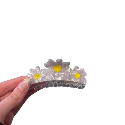 Daisies