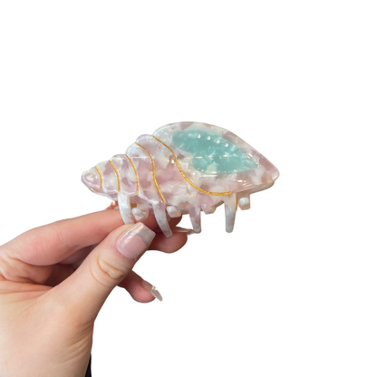 Conch Shell