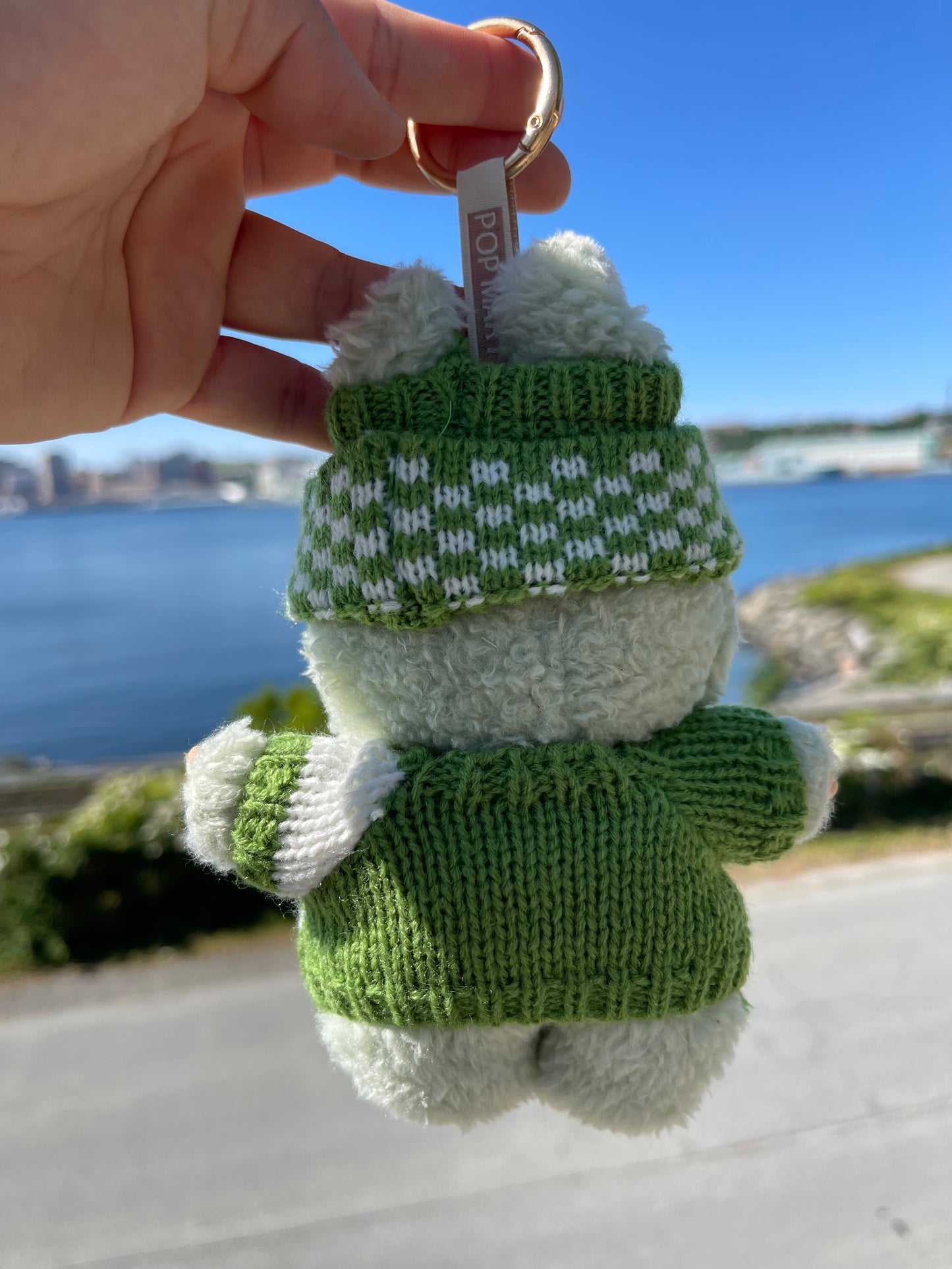Striped Green Knit Sweater w Hat