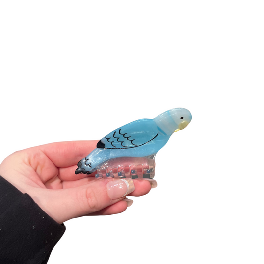 Blue Budgie