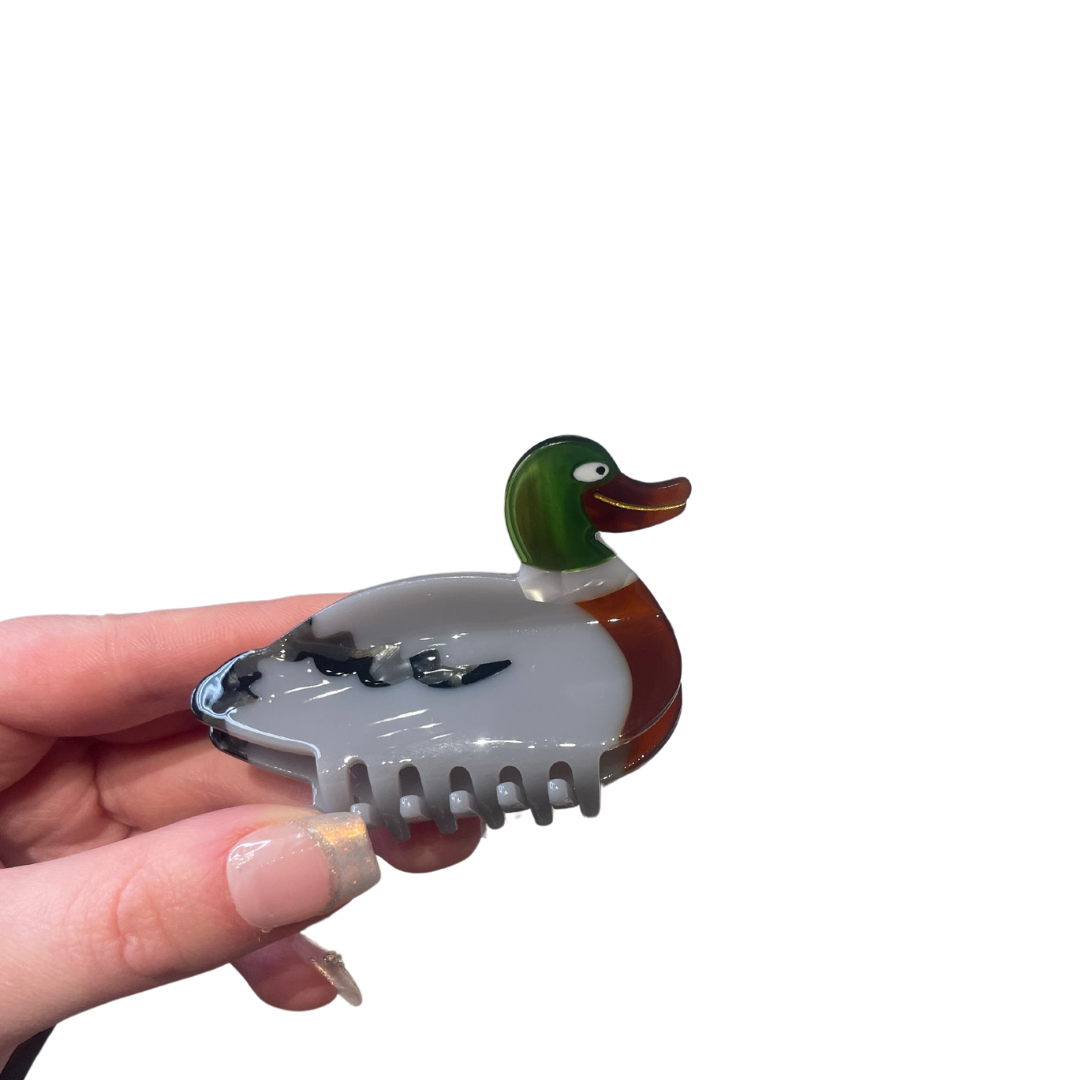 Duck