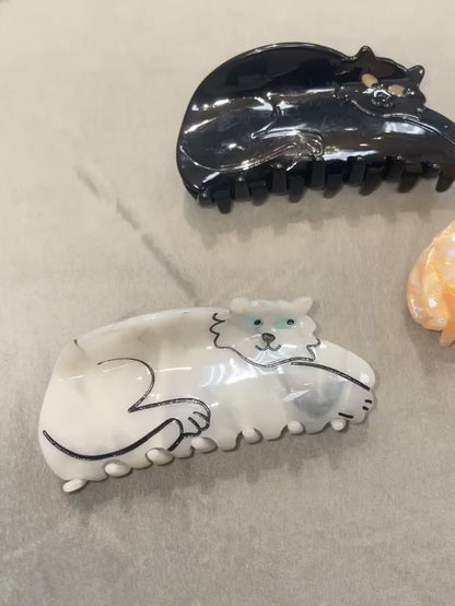 Curled up Cat