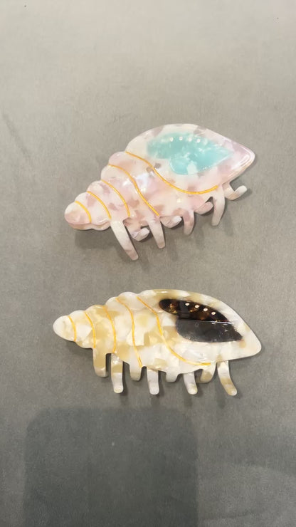 Conch Shell