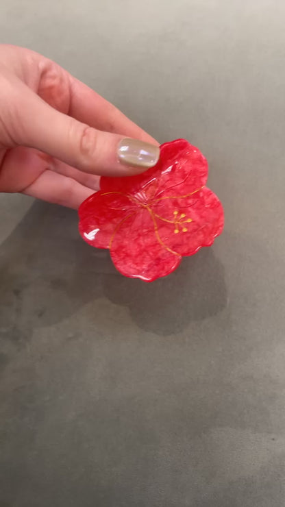 Hibiscus