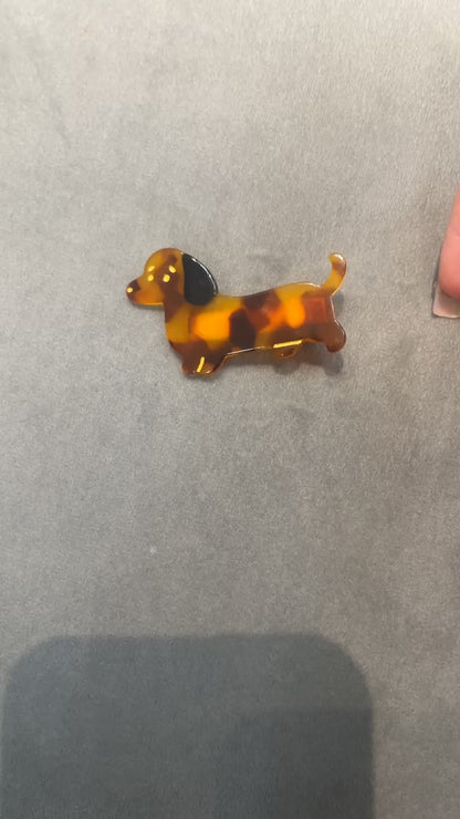 Mini Dachshund