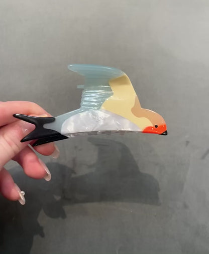 Multicoloured Swallow