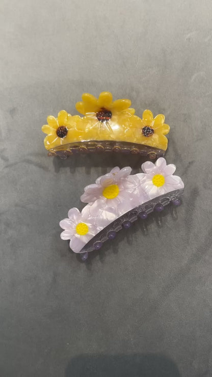 Daisies